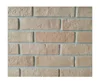 Fire resistant types of concrete artificial face bricks for wall decoration