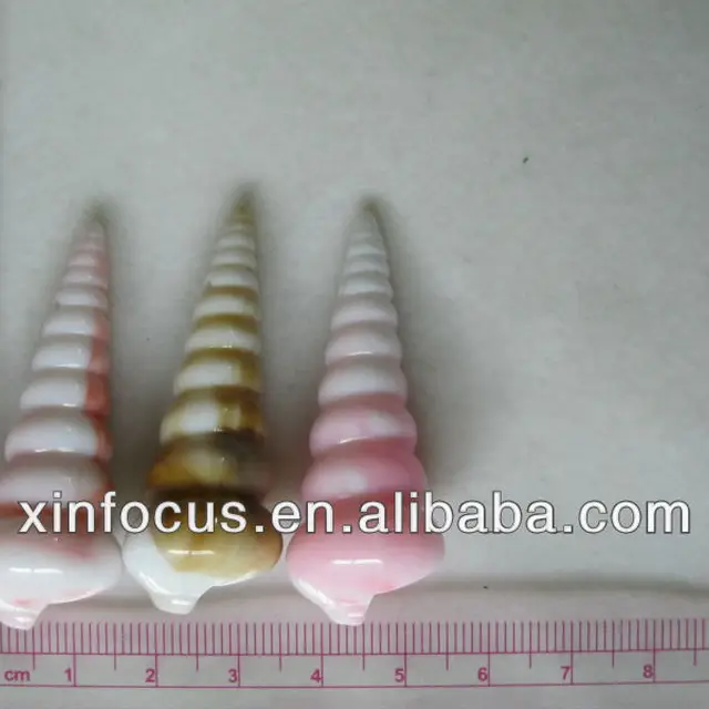 fashional sea snail ear plugs wholesale ear plug piercing