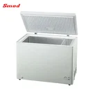 200-300L Commercial Solid Door Top Open Chest Freezer