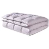 The Same Style with 5 Stars Hotel Lightweight Comfortable Down Duvet Insert Quilt