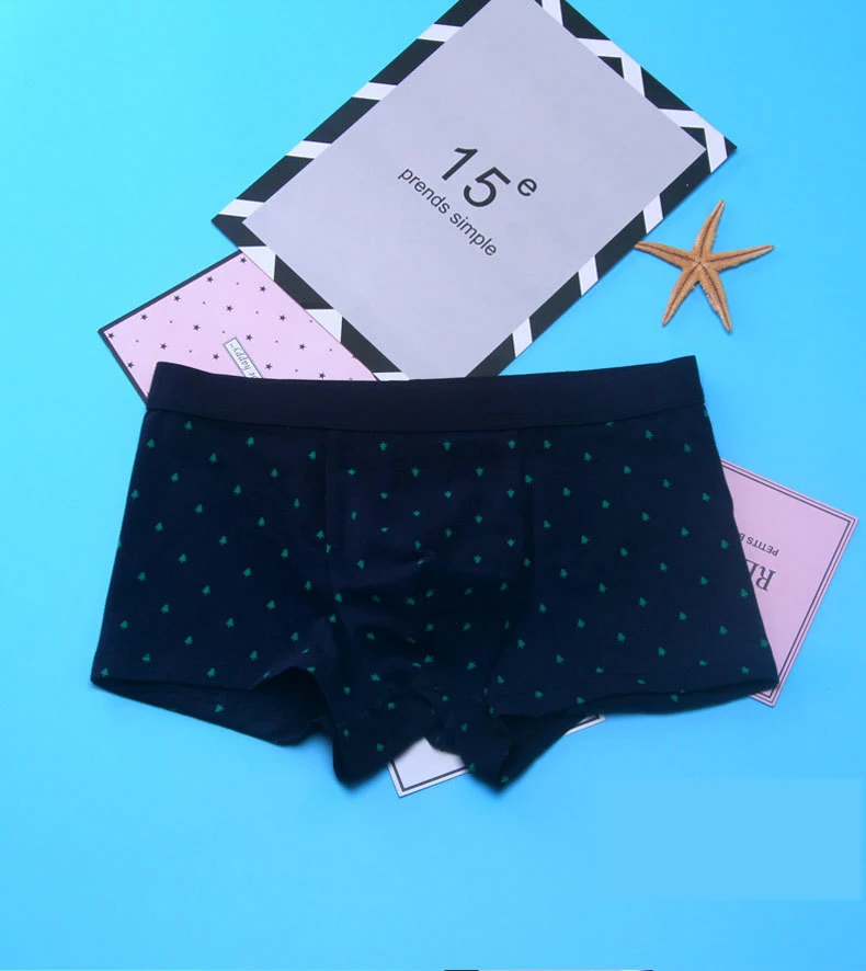 4729925101_686008313