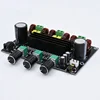 TPA3116D2 TPA3116 80W+80W+100W 2.1 Channel digital Power Amplifier Board Bass Subwoofer amplifier module XH-M573