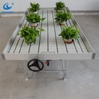 Commercial greenhouse Ebb and flow rolling bench plant growing trays