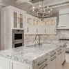 Best selling top quality kitchen granite countertops