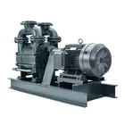 2BEA 202 water ring vacuum pump 50Hz liquid ring vacuum pump for oil drilling
