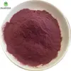 /product-detail/100-natural-freeze-dried-acai-berry-extract-powder-60839692359.html