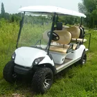 6 seater gas or electric powdered golf carts