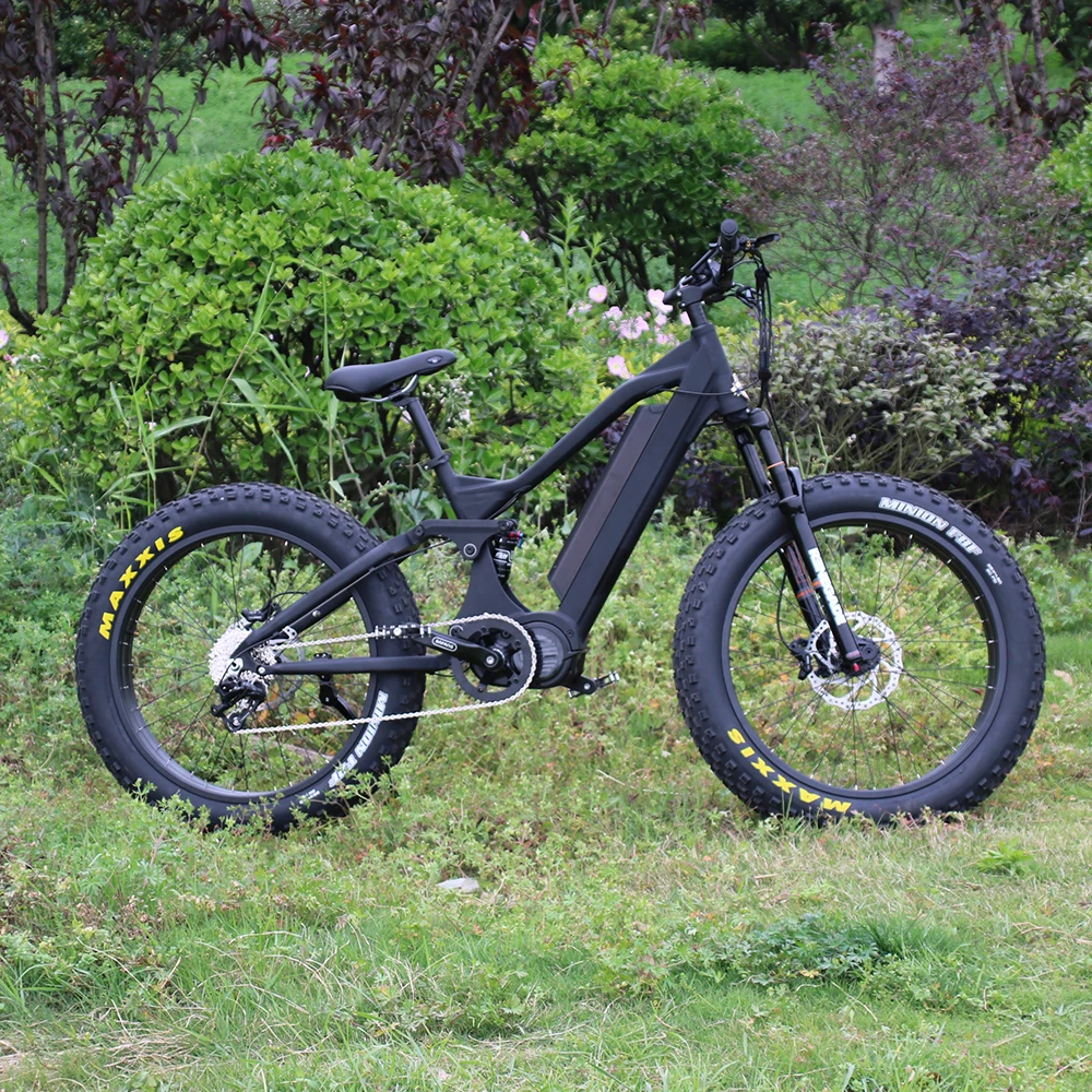 Bafang Ultra 1000W ebike 
Bafang Ultra 1000W ebike