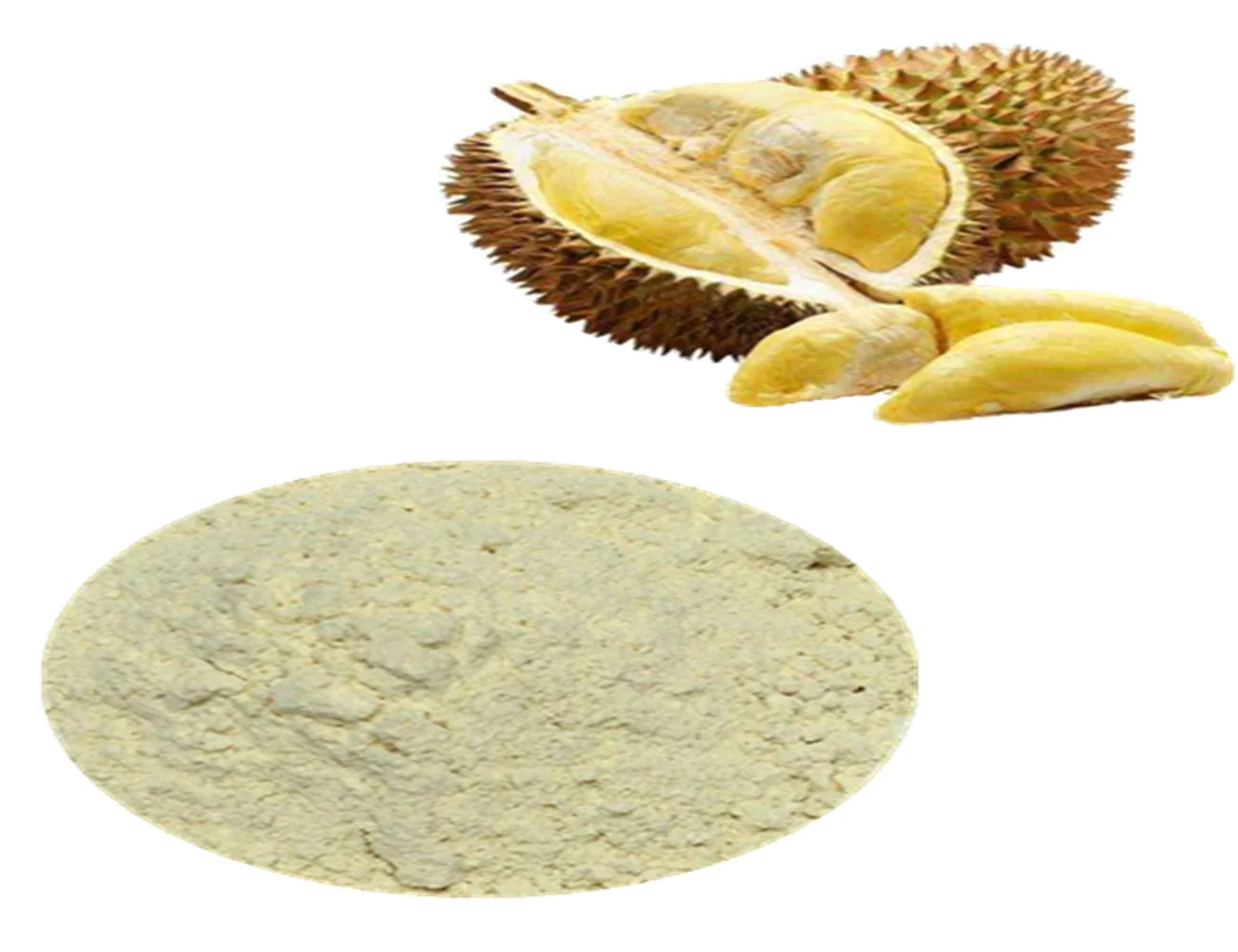 hot sale products fresh durian fruit extract powder durian