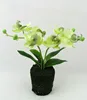 Large phalaenopsis orchid silk flower arrangement with customized pot