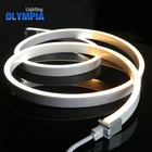 SASO Led Stripe Light Ip68 Underwater Flexible Customized Led Stripe 24v Extra Warm White Neon Flex Light