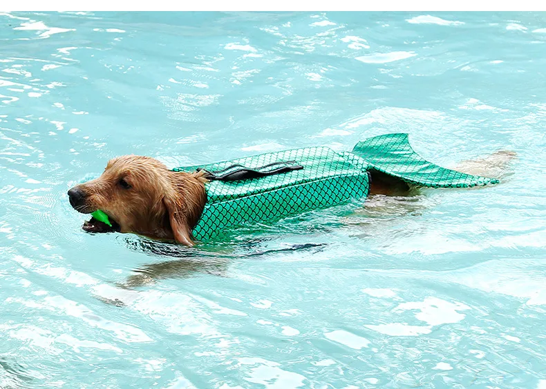 5968524668_1832331281