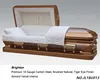 /product-detail/brighton-metal-casket-funeral-accessories-type-and-american-style-metal-casket-60656036149.html