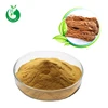 Ligustilide Angelica sinensis extract Ligustilide 1% powder