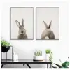 Black White Animal Rabbit Tail Canvas Art Print Nursery Kids Room Decor wall picture painting art,art painting