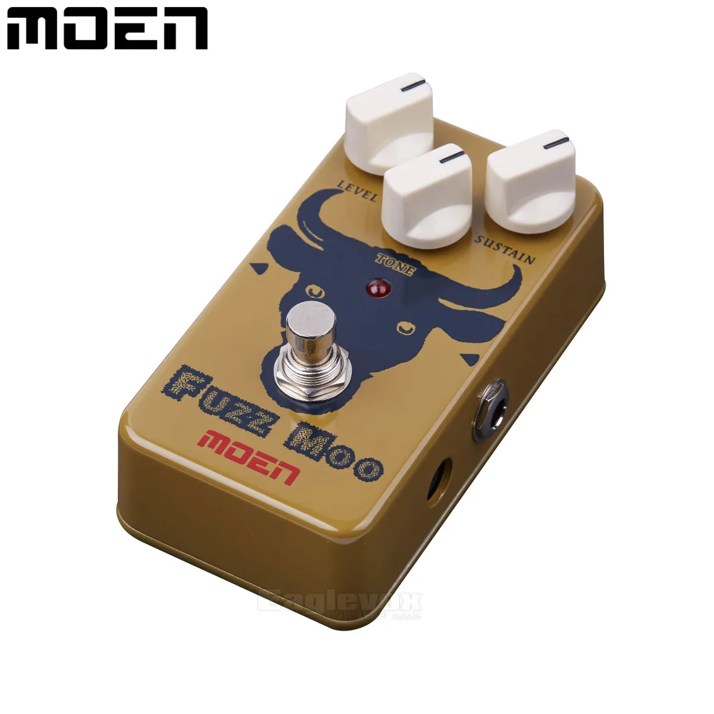 5D3_2567-MOEN-AM-FZ
