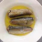 New crop canned sardine in vegetable oil