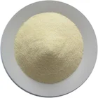 Dried Garlic Granules (Free Sample)