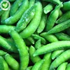 IQF Wholesale frozen sugar snap pea with cheap price