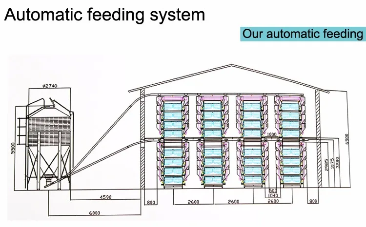 poultry farm automatic chicken layer cage faring equipment3.2.jpg