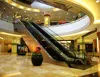 /product-detail/cheap-price-escalator-cost-60288412589.html
