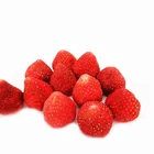 Bulk Dried FD Frozen Freeze Dried Fruit Strawberry Whole