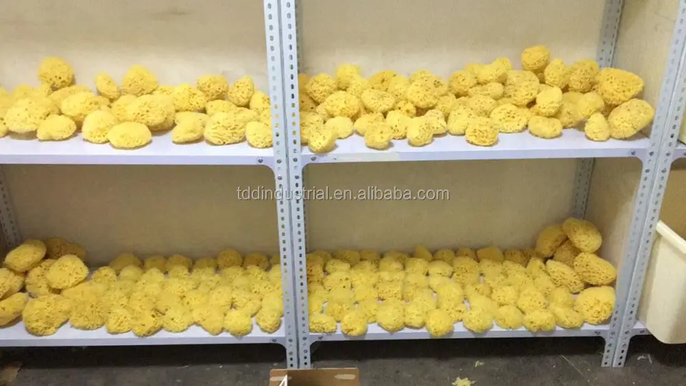 hot sale natural sea sponge