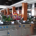 Industrial heavy duty barbecue grill oven machine