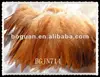 4-6" Natural cock feather trimming