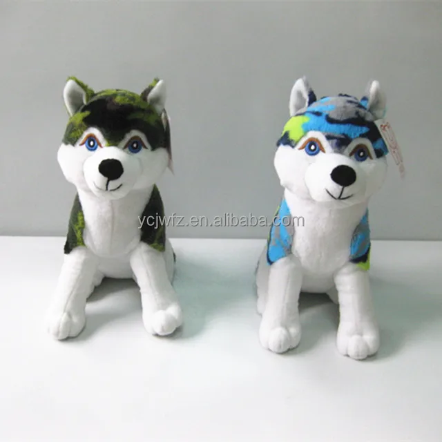 siberian husky dog