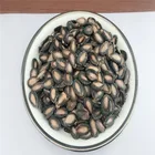 Supply black watermelon seed with good quality for sale