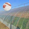 Big size transparency and perfect toughness plastic film for greenhouse