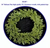 36" Plastic Balsam Pine high quality visually impressed Christmas wreath, with painted tips