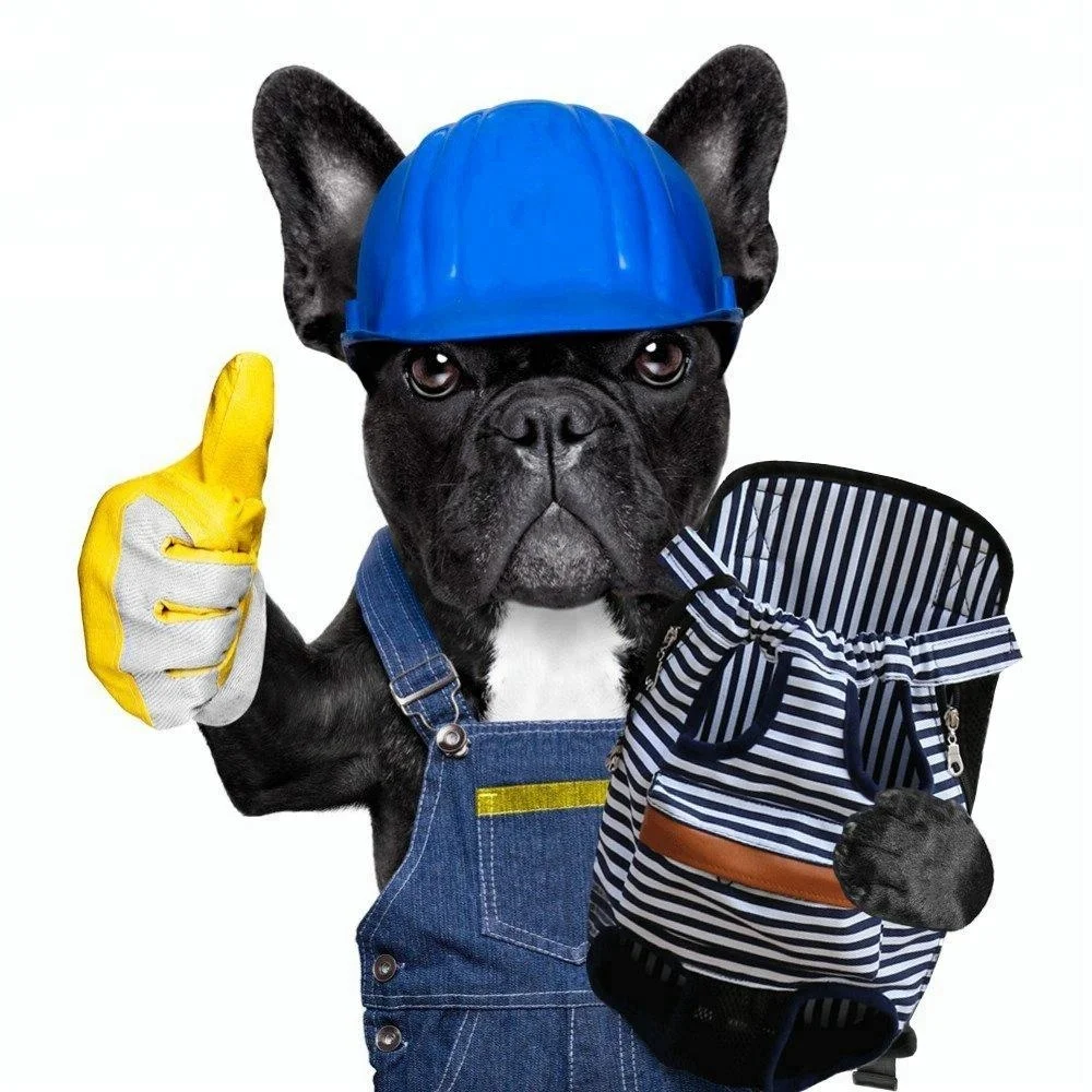 Legs Out dog Pet Front Bag Backpack Carrier with Wide Straps Shoulder Pads for Cats, Various 
Legs Out dog Pet Front Bag Backpack Carrier with Wide Straps Shoulder Pads for Cats, Various