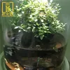 China supplier quality floor acrylic fish aquarium fish bowl