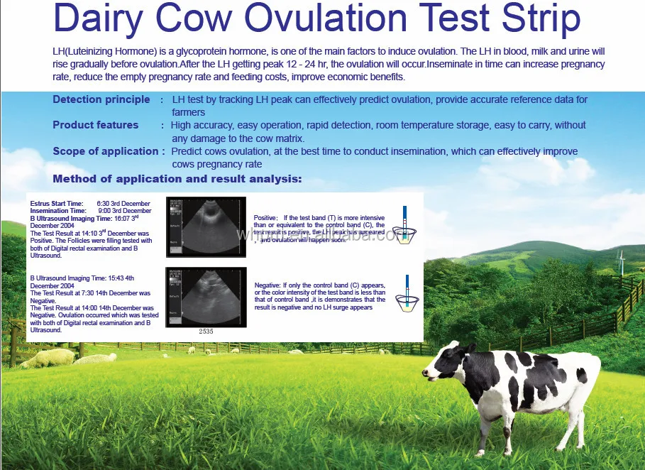 Wh Dairy Cow Pregnancy Rapid Test Kits Hotsale In Denmark Buy Rapid