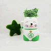 /product-detail/cat-doll-grass-seed-planter-1762132020.html