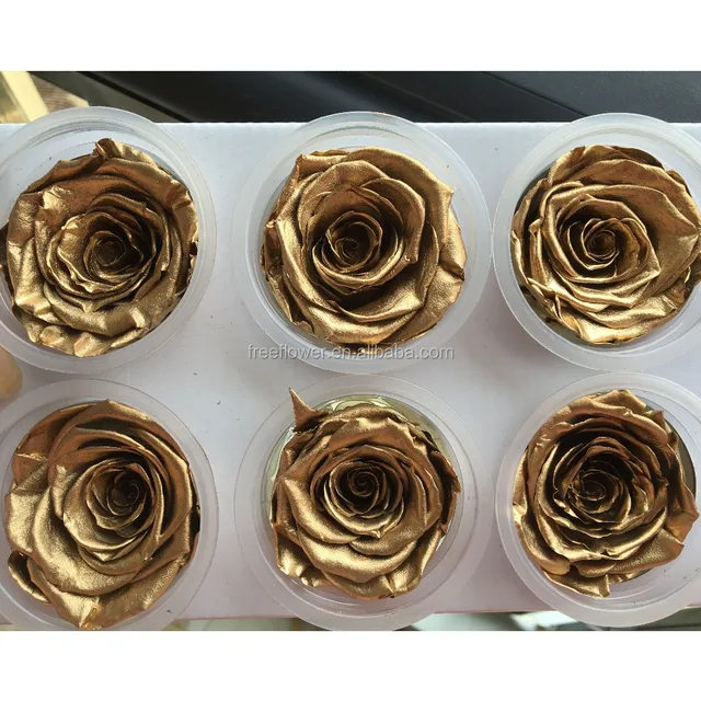 preserved gold roses