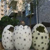 OAH5133 Amusement Park Fiberglass Statue Dinosaur Giant Eggs for Photo