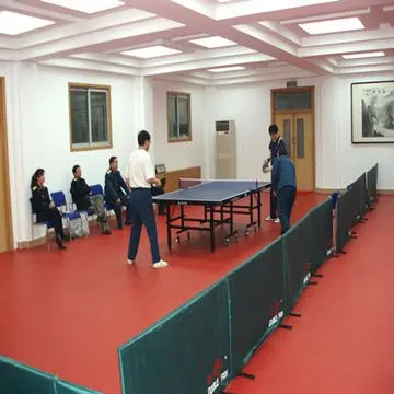 Table tennis(3)_