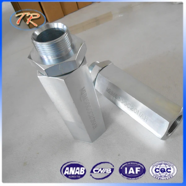 DSCN2697 .jpg