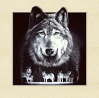 Wolf and Dog Animal Decorative Paintings 3D Image Interior Decorative Paintings Support Customization of Animal Images