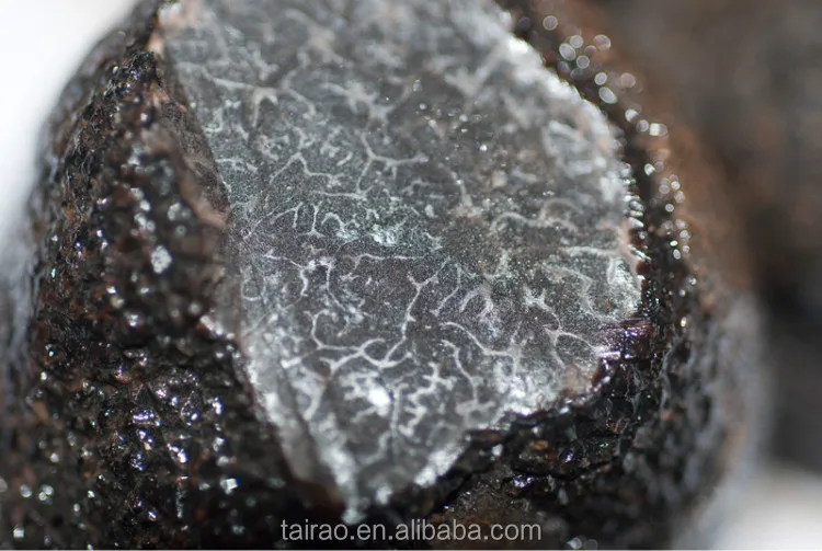 Black truffles for sale yunnan wild fresh black truffle panzhihua elvan truffle