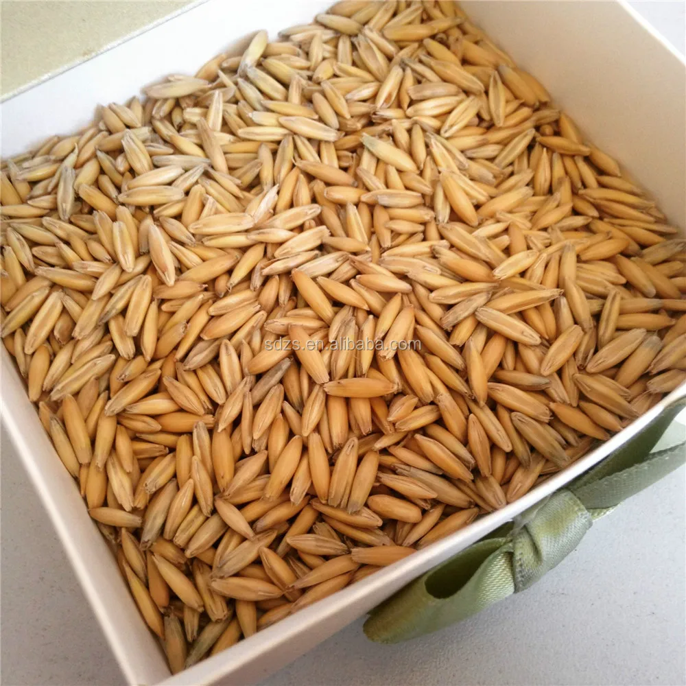 Oats For Horse Feed With Wholesale Prices Buy Horse Feed Oats,Animal