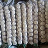 New products organic garlic/fresh Chinese pure white garlic