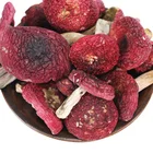 Hot Sale Organic Russula Extraxt Powder caterpillar mushroom