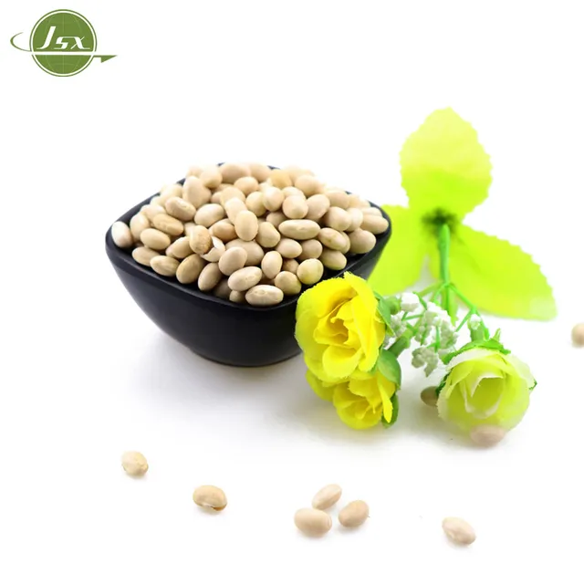 supply china natural plant pure baishake white kidney bean