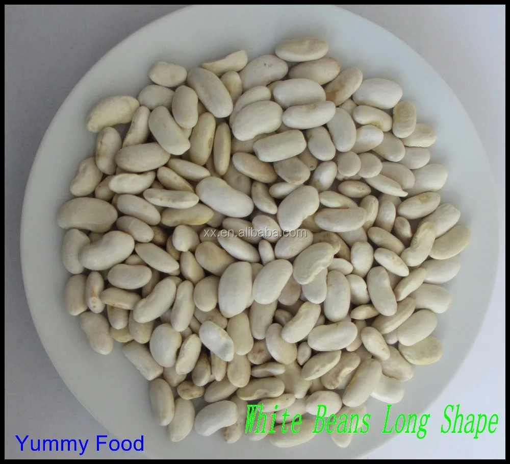 long shape white kidney beans buyer