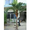 /product-detail/decorative-fiberglass-palm-trees-plastic-coconut-palm-trees-for-indoor-and-indoor-decoration-60522196483.html