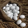 Montessori Educational Game Painted Wooden Easter Eggs Wood Darning Egg